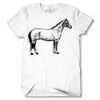Men's Tshirt Thumbnail