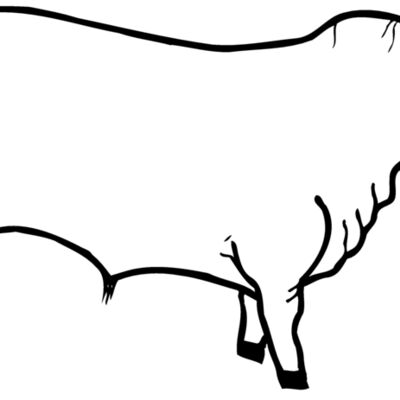 Cows Thumbnail