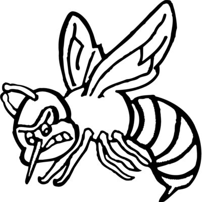 Insects Thumbnail
