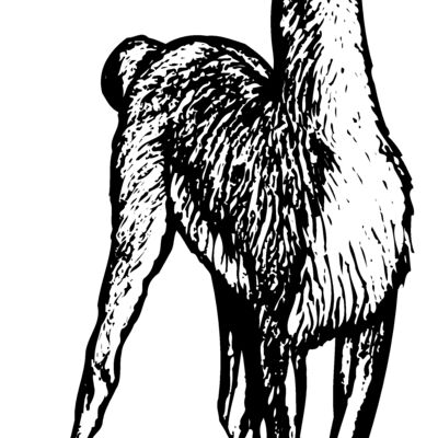 llama Thumbnail
