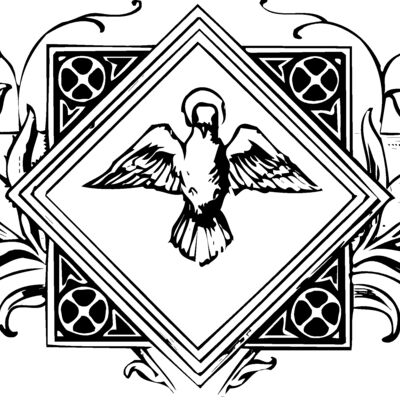 Dove Thumbnail